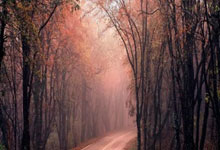 DB彩票入口-激战玫瑰园！马拉加主场陨落毕尔巴鄂，西乙升级战局再掀风暴