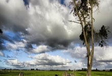 DB game-终场哨声前的奇迹：国米绝杀夜与奥运之魂的隔空对唱