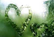 DB彩票平台-德国队逆转波兰队，奥恰洛夫关键制胜