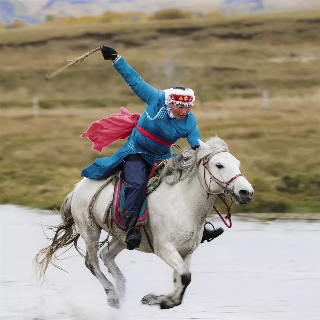 包含跳水项目技压群雄，高空中的飞跃的词条