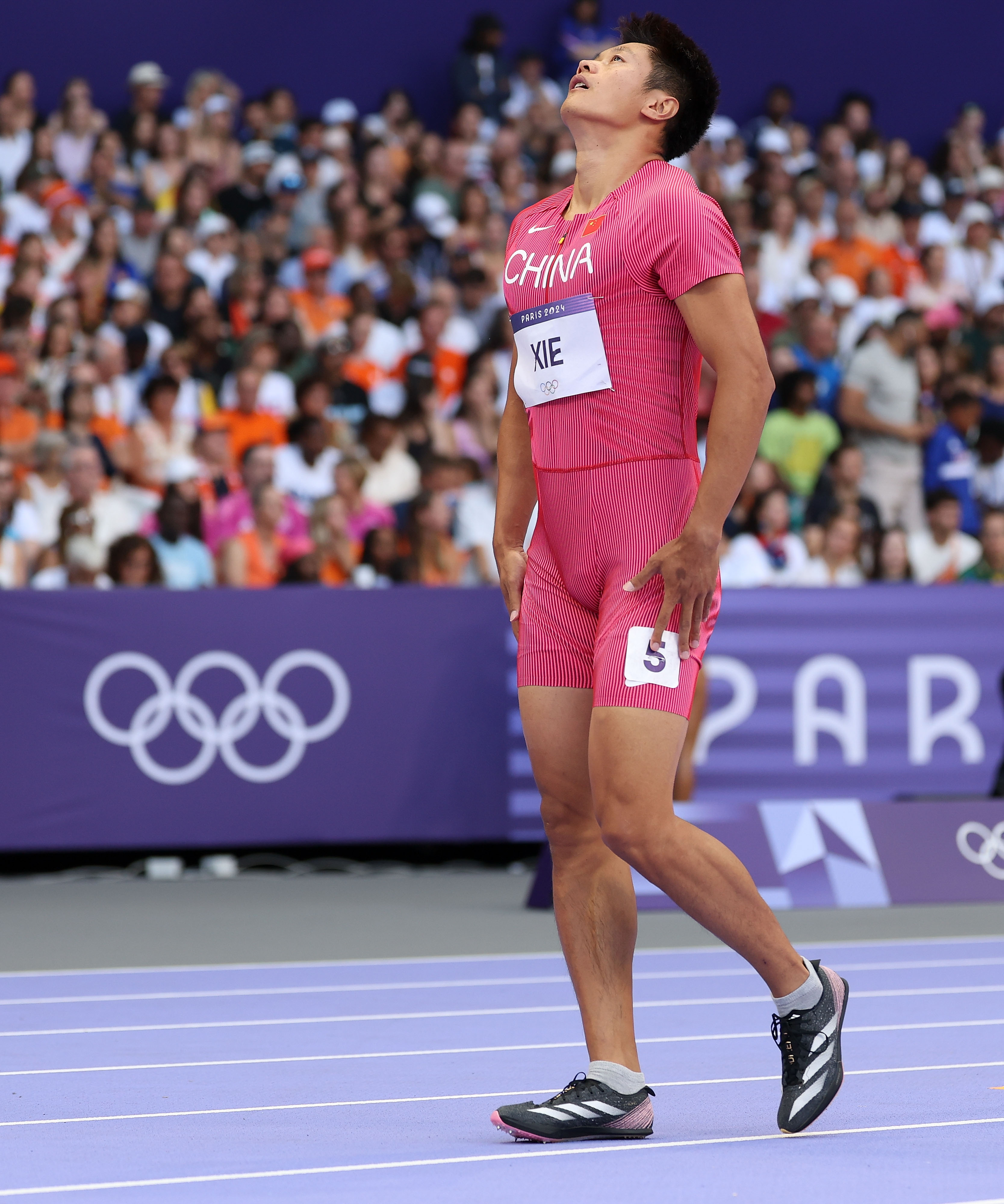 比利时选手在田径比赛中刷新纪录获金牌